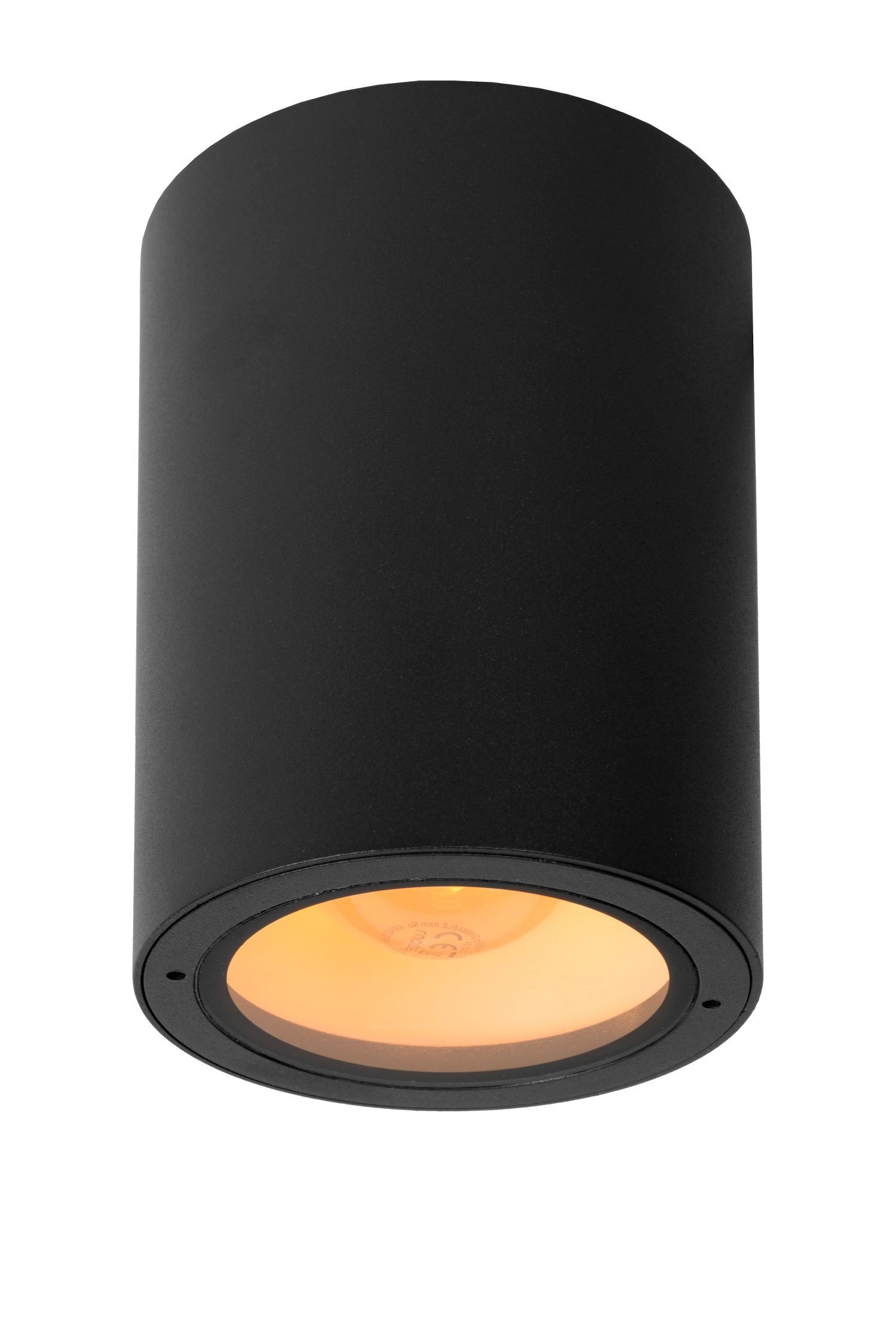 Licht-Erlebnisse Außen-Deckenleuchte DOBA, ohne Leuchtmittel, Aufputz Aluminium E27 IP54 D: 10.8 cm Schwarz rund Modern Außenlampe
