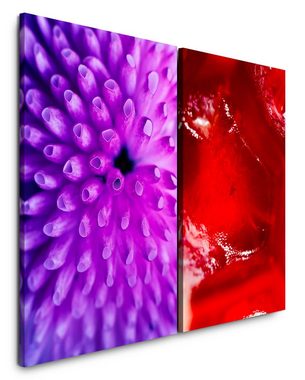Sinus Art Leinwandbild 2 Bilder je 60x90cm Koralle Violett Rot Farbenfroh Fotokunst Nahaufnahme Schön