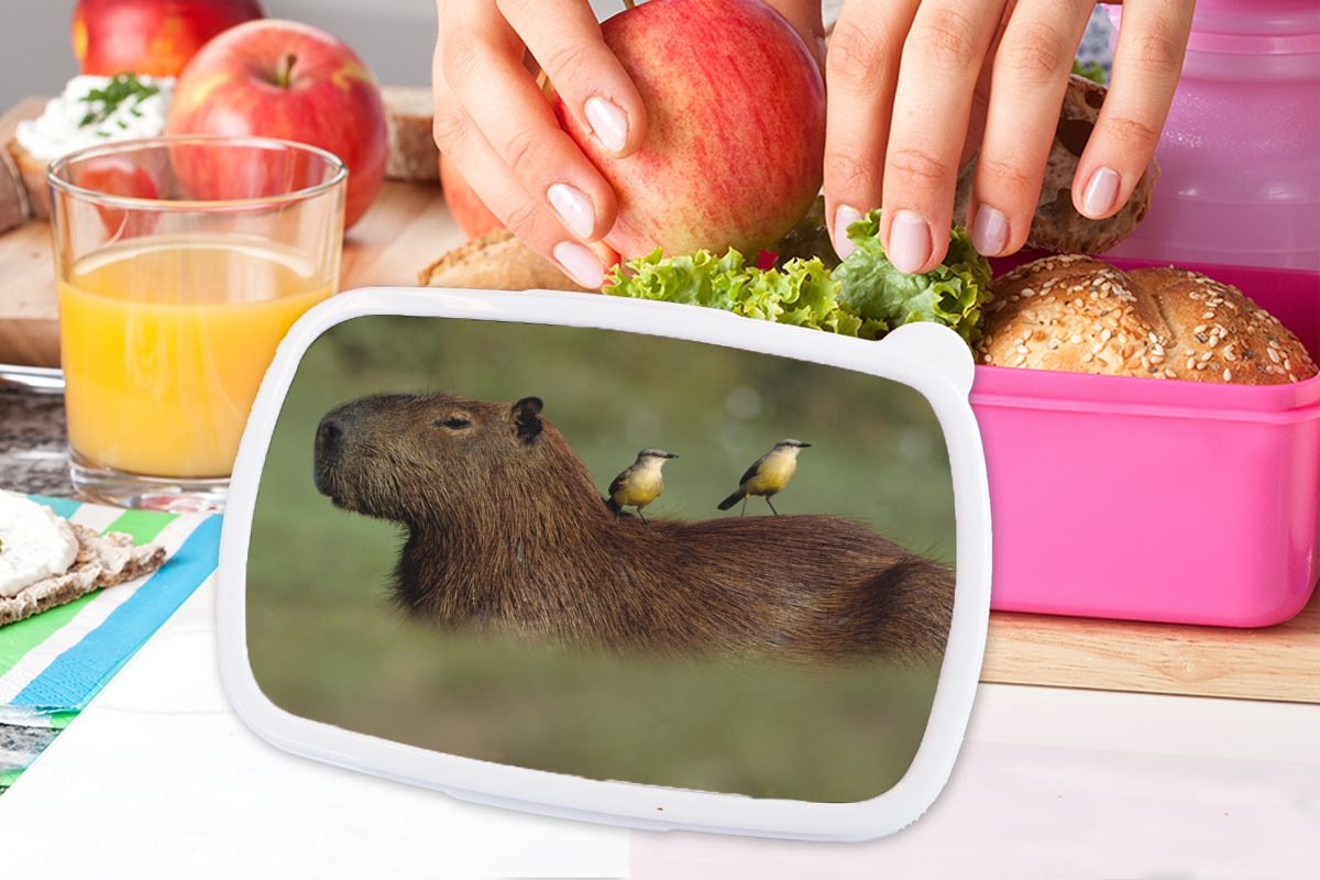 MuchoWow Lunchbox Zwei Vögel sitzen Mädchen, rosa (2-tlg), für Snackbox, Erwachsene, Kunststoff, Brotbox Kinder, einem Brotdose Capybara, auf Kunststoff
