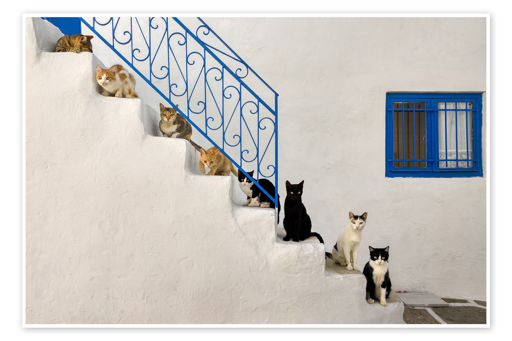 Posterlounge Poster Katho Menden, Katzen auf Treppe in Griechenland, Fotografie