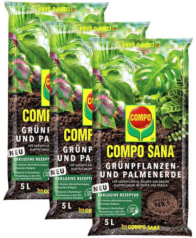 Compo Spezialerde Grünpflanzen und Palmenerde