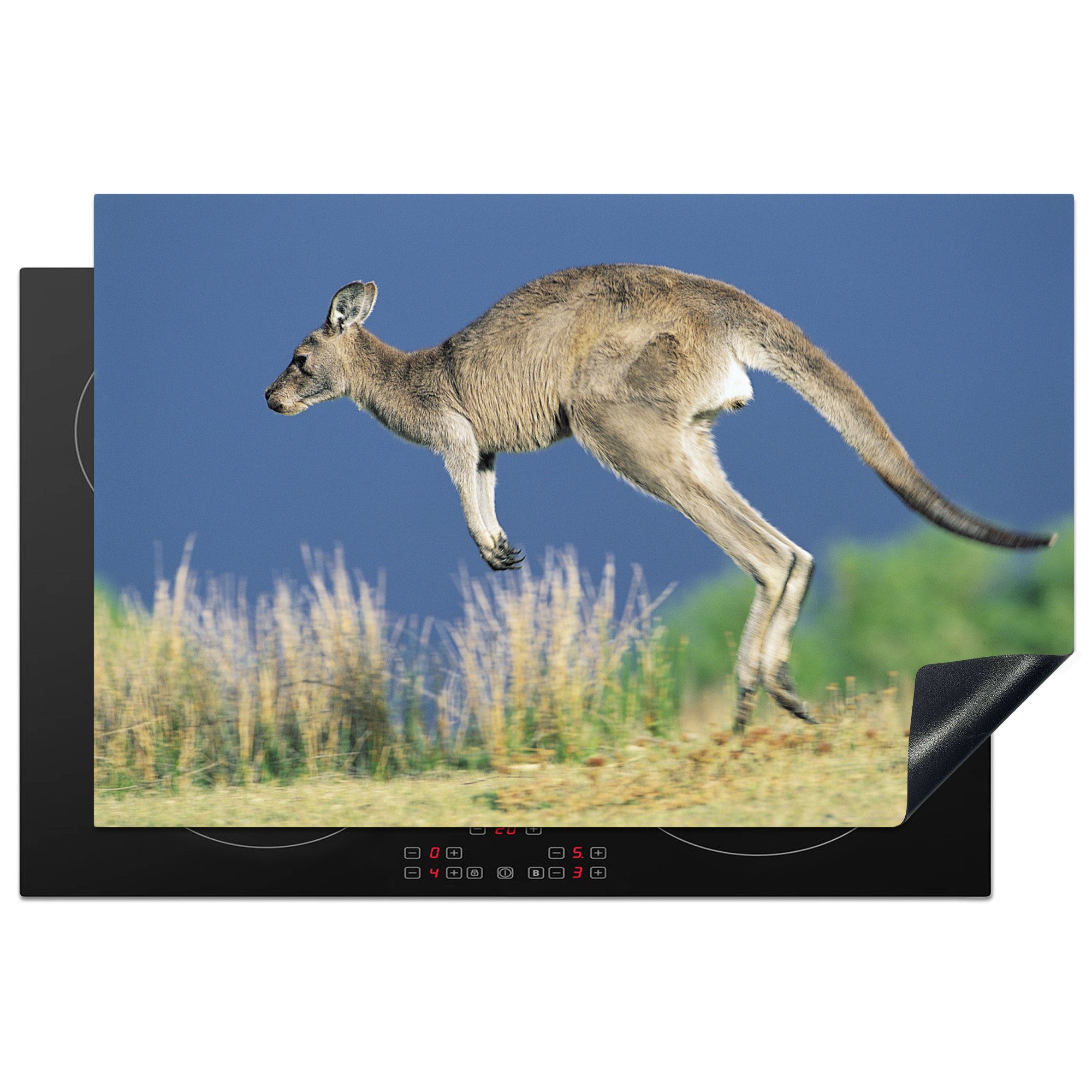 MuchoWow Herdblende-/Abdeckplatte Känguru - Tier - Natur, Vinyl, (1 tlg), 81x52 cm, Induktionskochfeld Schutz für die küche, Ceranfeldabdeckung