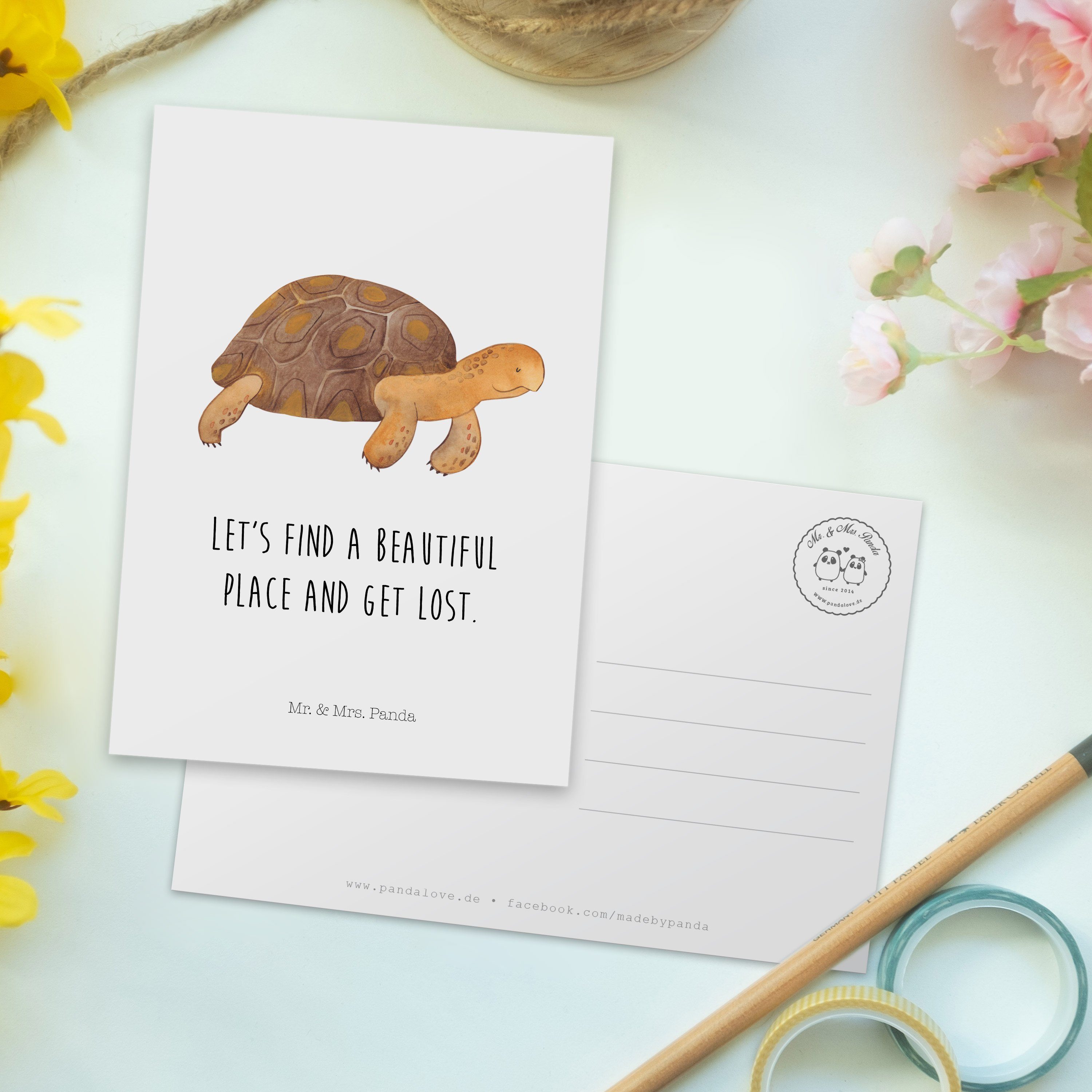 Weiß & - Einladung, Geschenk, Geb Schildkröte Meerestiere, Panda Mr. marschiert Mrs. Postkarte -