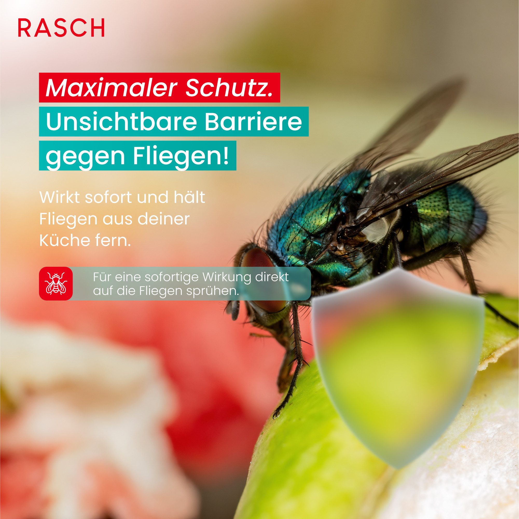 Rasch Insektenspray RASCH® HOME DEFENDER® Fliegen Stop Power Spray - (500ml), 500 ml, 500 ml – Bild 3 von 5