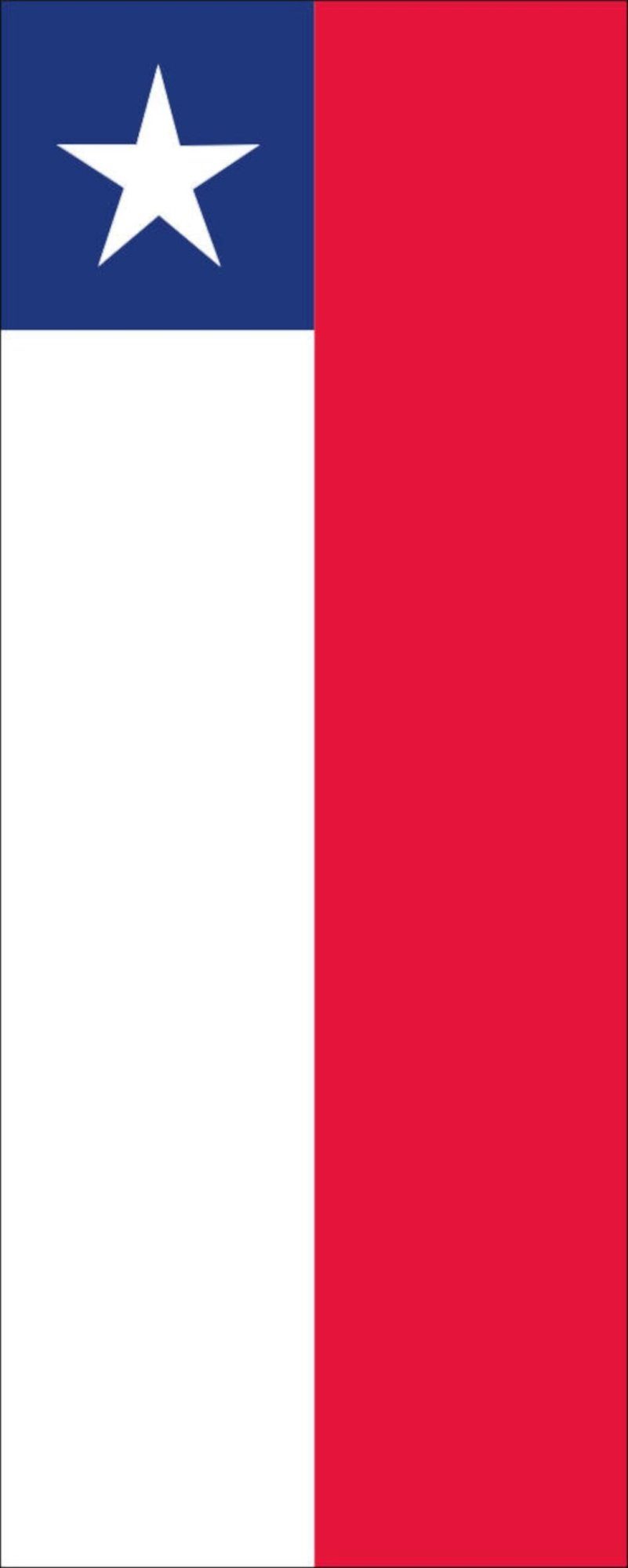 flaggenmeer Flagge Chile 160 g/m² Hochformat