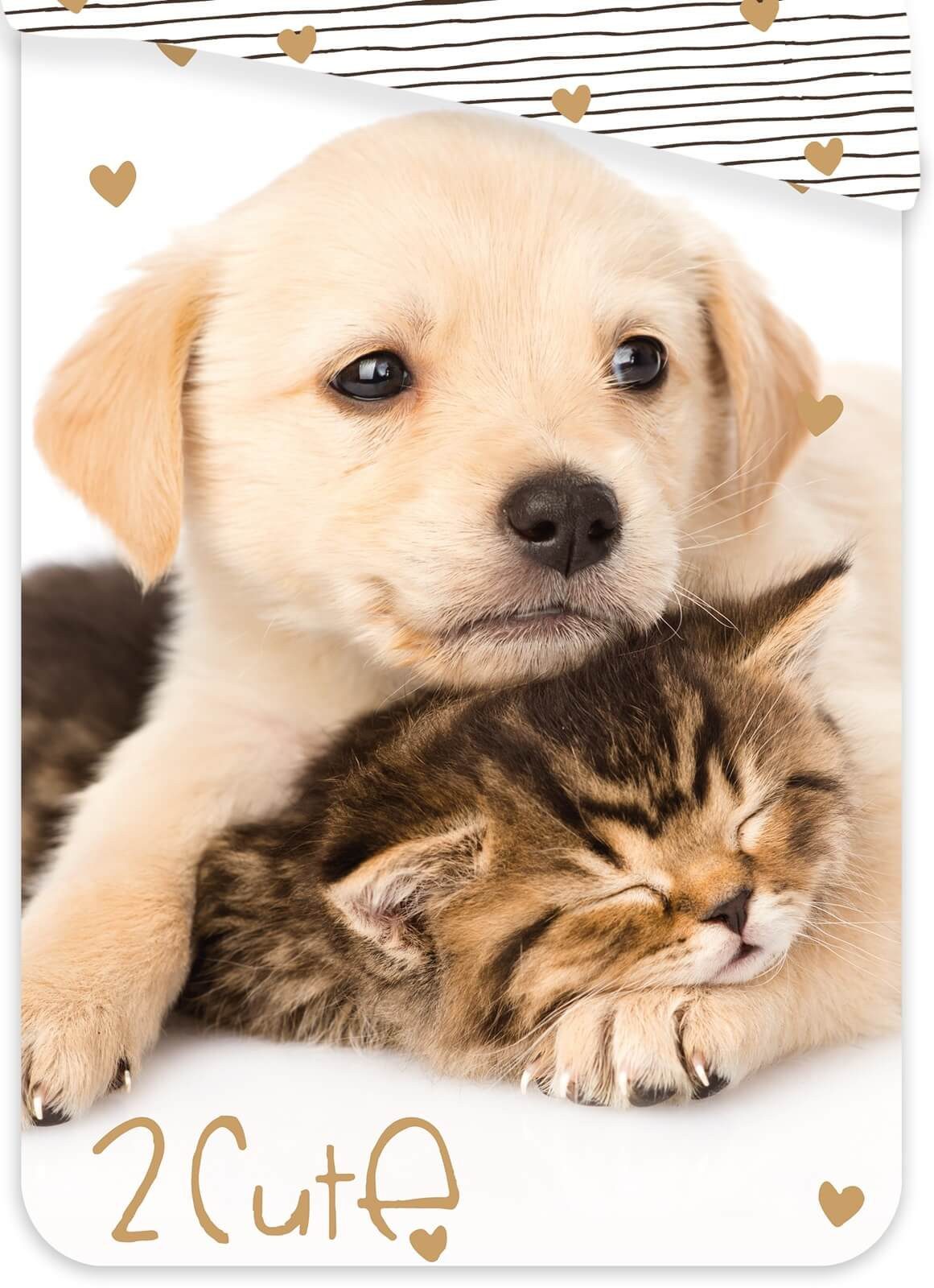 Jerry Fabrics Bettwäsche Golden Retriever - Hund & Katze - Wende-Bettwäsche-Set, 135x200 80x80, Baumwolle, 100% Baumwolle