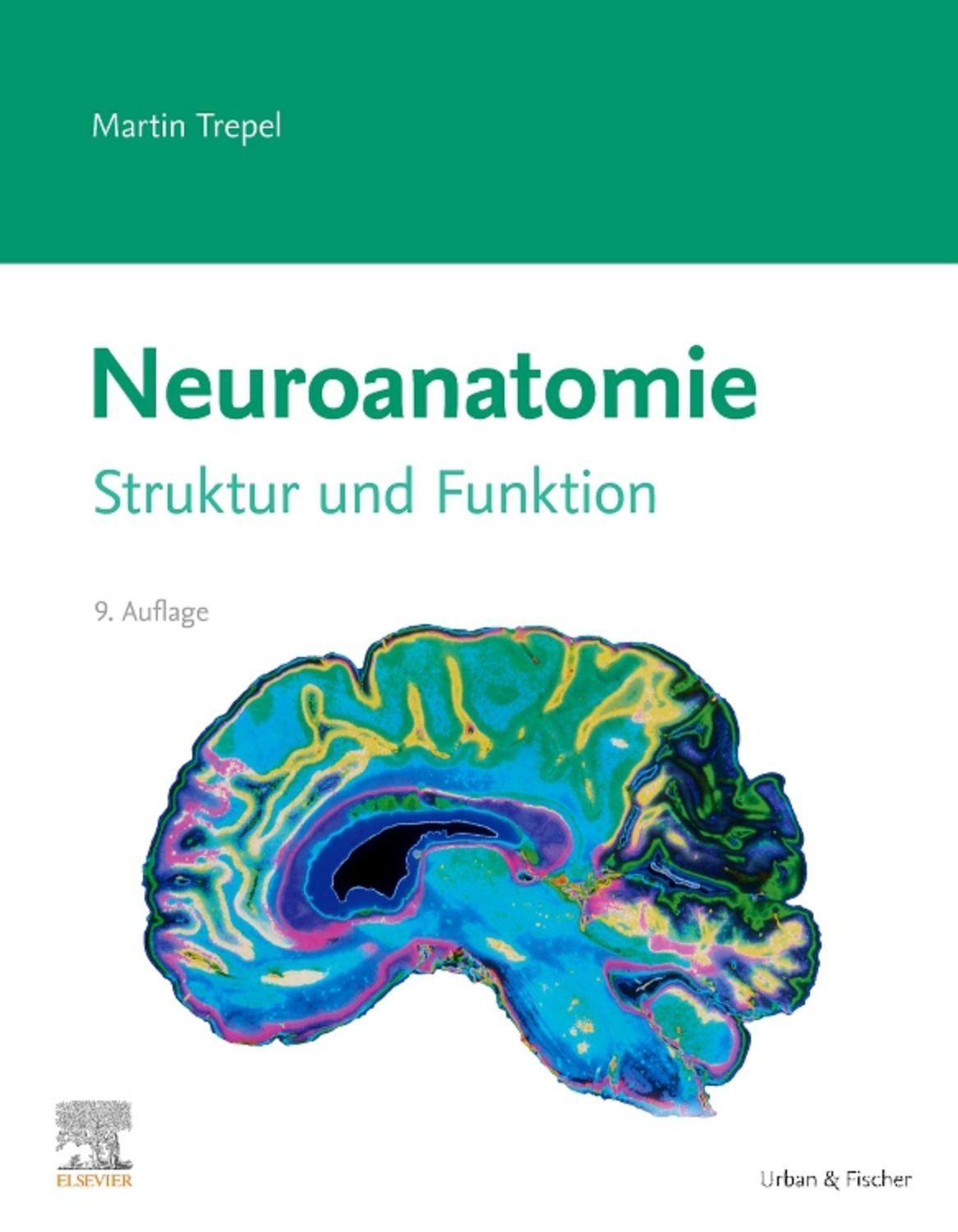 Neuroanatomie / Martin Trepel
