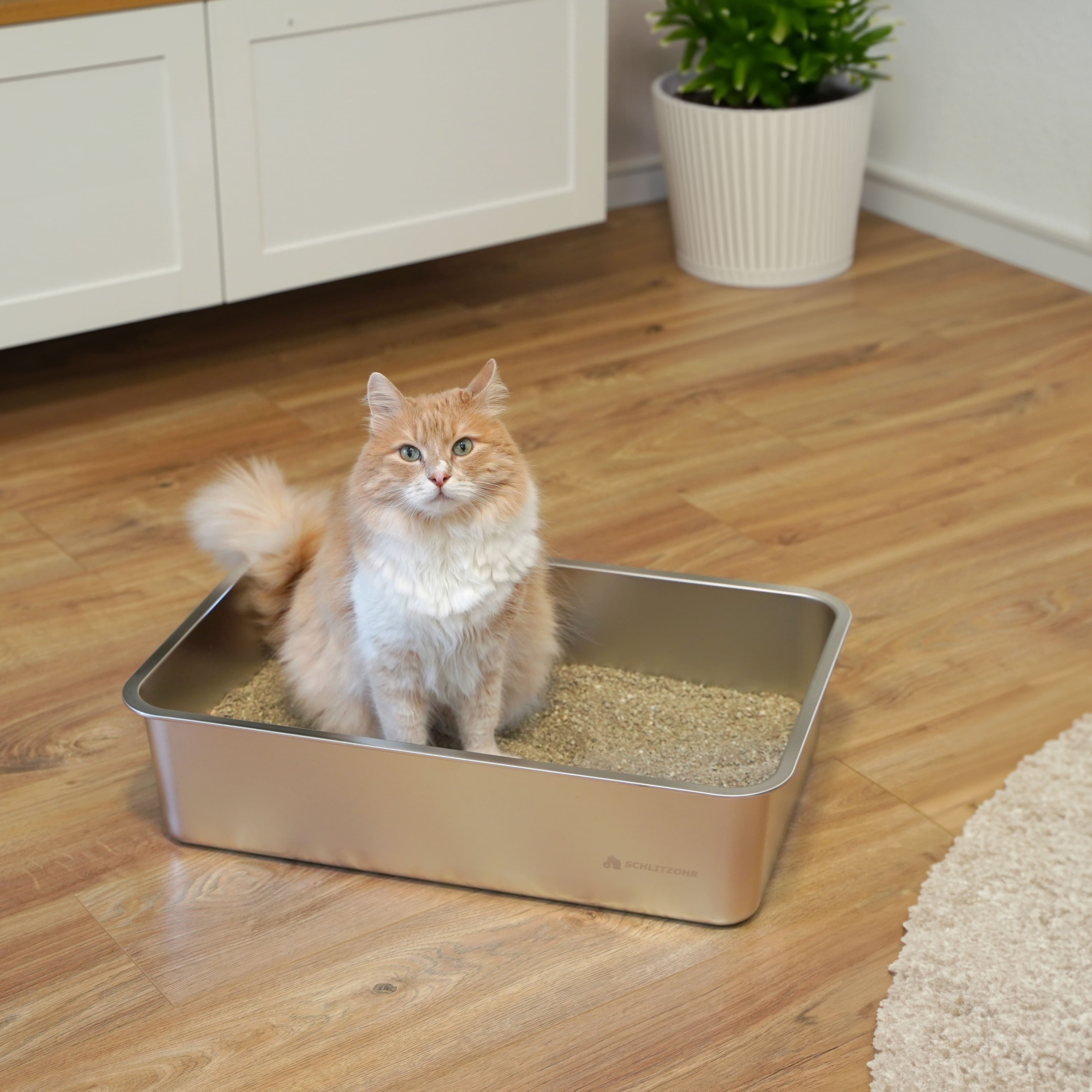 SCHLITZOHR Katzentoilette XXL Premium Edelstahl Katzenklo Lotte - silber, BxLxH: 60x40x15 cm, Edelstahl Toilette