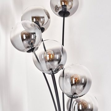 hofstein Stehlampe Stehlampe aus Metall/Glas in Schwarz/Rauchfarben/Klar, ohne Leuchtmittel, Leuchte mit Glasschirmen(15cm), 168cm, 6 x E14, ohne Leuchtmittel