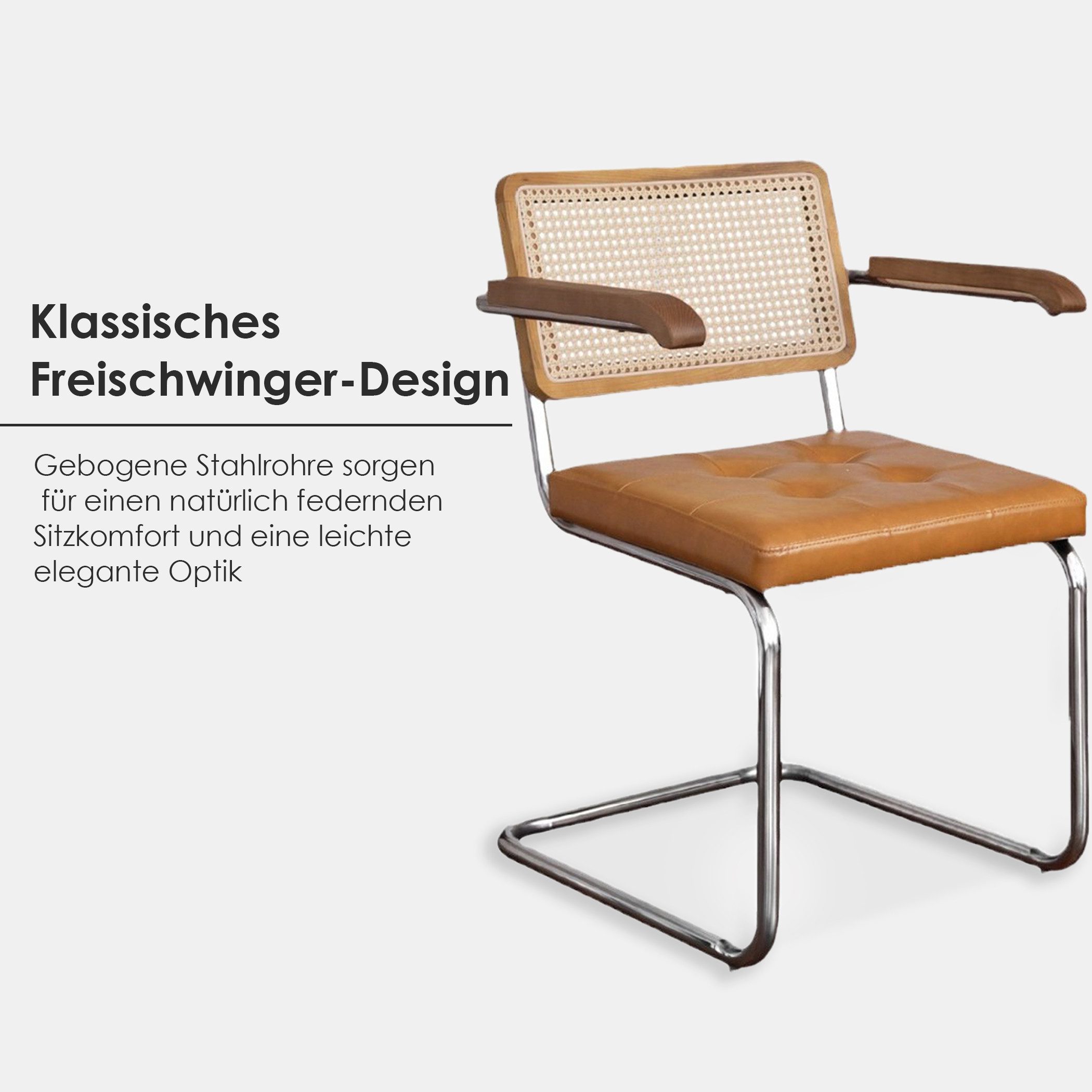 SeedWave Freischwinger 2er Set Esszimmerstühle mit Rattan-Rückenlehne, PU-L günstig online kaufen