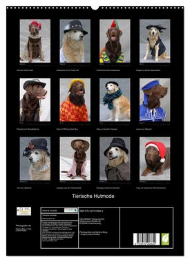 CALVENDO Wandkalender Tierische Hutmode (Premium, hochwertiger DIN A2 Wandkalender 2023, Kunstdruck in Hochglanz)