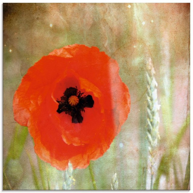Artland Glasbild »Klatschmohn«, Blumen (1 Stück)-Otto