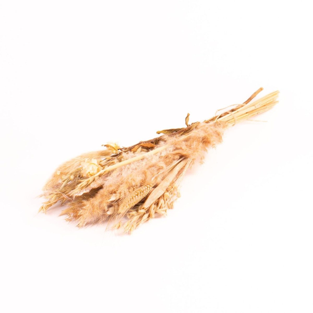 Trockenblume Trockenstrauß DILIANE, weiß-Natur, 50cm, Ø15cm, INNA-Glas, Höhe 50.0 cm