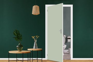 MuchoWow Türtapete Mintgrün - Unifarben, Matt, bedruckt, (1 St), Fototapete für Tür, Türaufkleber, 75x205 cm