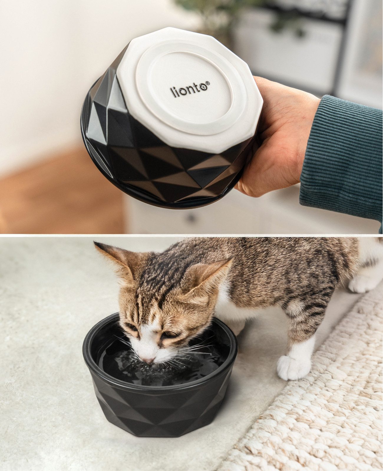lionto Napf rutschfest für Katzen, verschiedene Größen und Farben, Keramik, langlebig, spülmaschinenfest, elegantes Design