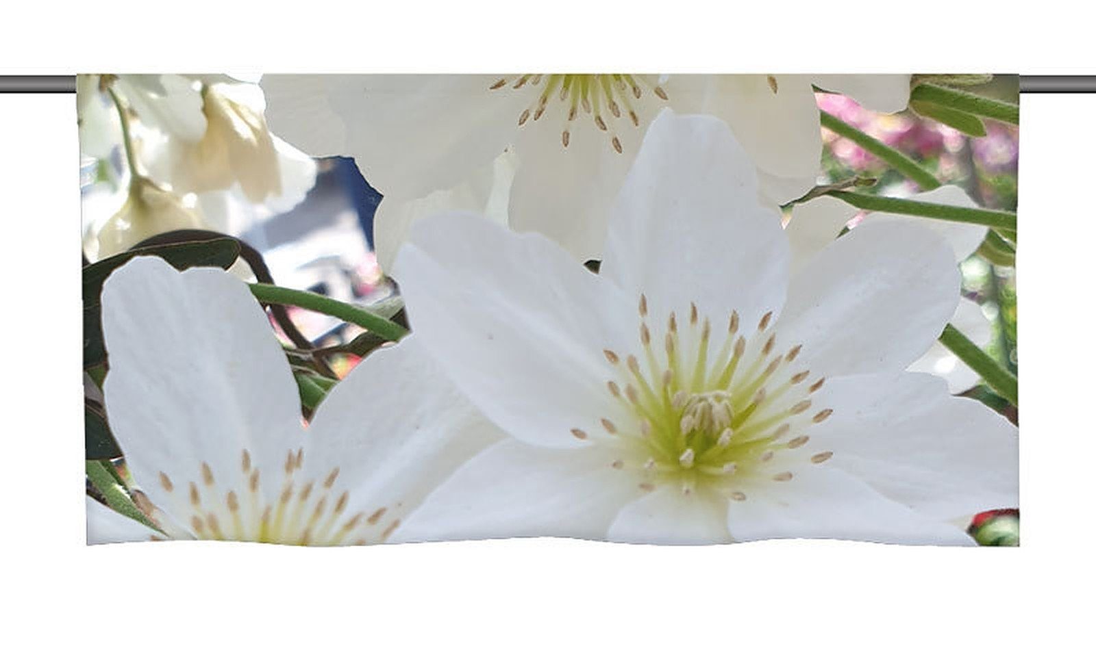 Cafehausgardine tollem Motiv mit - gardinen-for-life Scheibengardine Blüten" "Weiße Küchengardine,