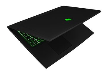 Tulpar T7 V20.6 Gaming-Notebook (Intel Core i7 13700H, RTX 4060, 1000 GB SSD)