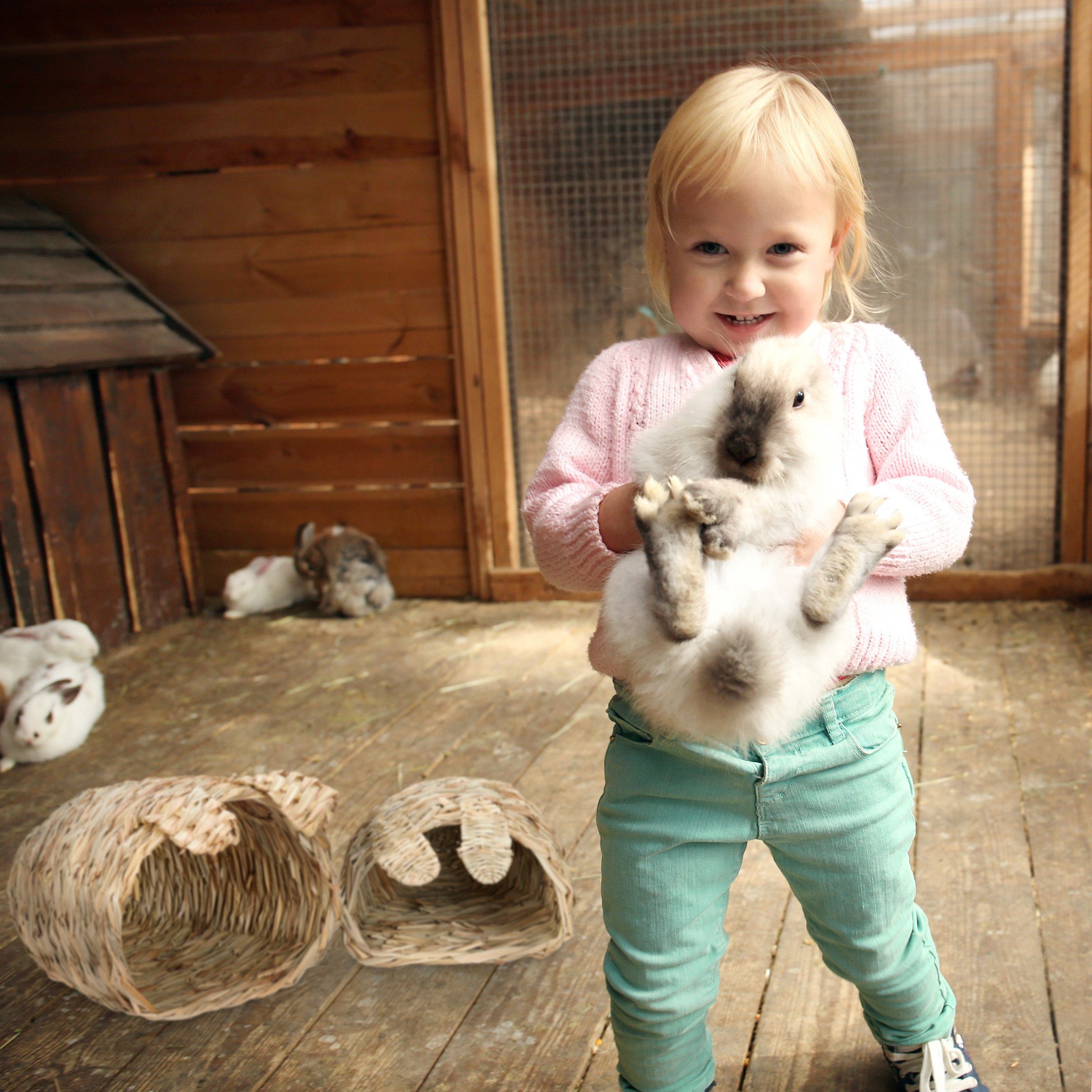 relaxdays Kleintiertunnel Kaninchenhaus 2er Set mit Spielzeug, Pflanzenfaser