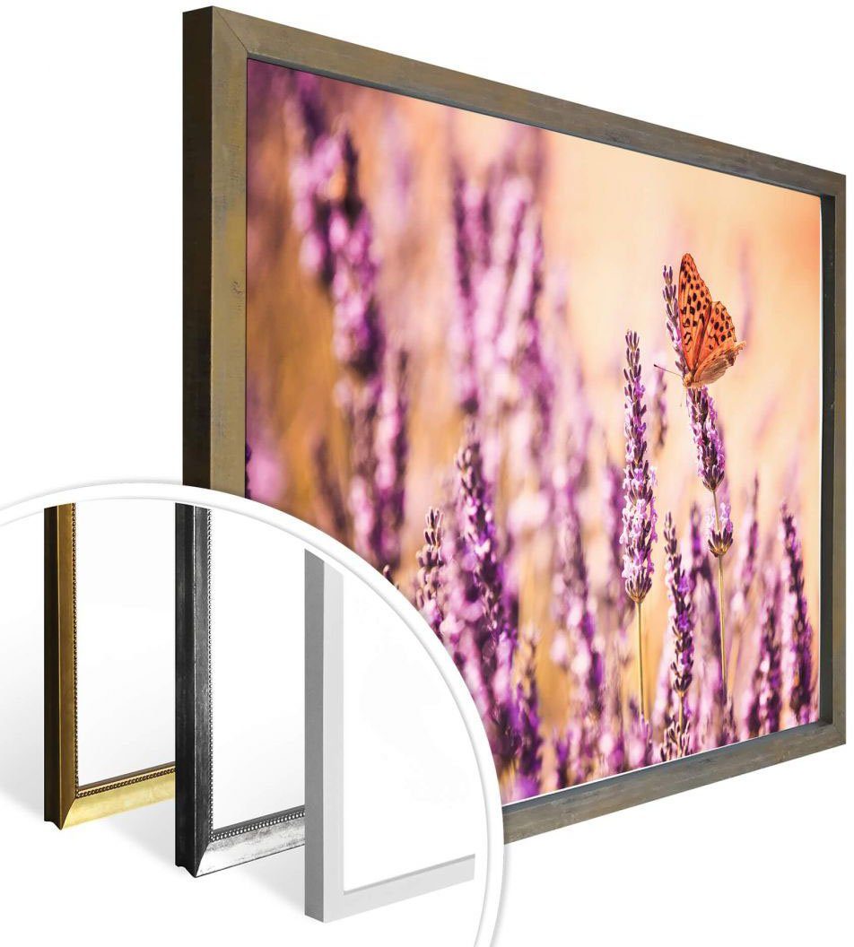 Poster St), (1 Wandposter Poster, Bild, Schmetterlinge Wall-Art Lavendel, Schmetterling Wandbild,