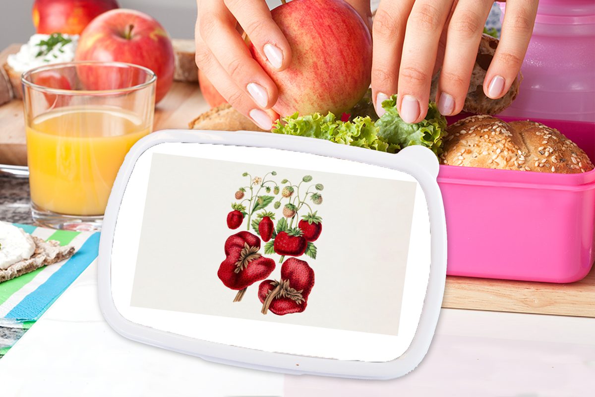 - Snackbox, (2-tlg), Brotdose Lunchbox MuchoWow - Pflanze, Erwachsene, Mädchen, Erdbeeren rosa für Kunststoff Kunststoff, Obst Kinder, Brotbox