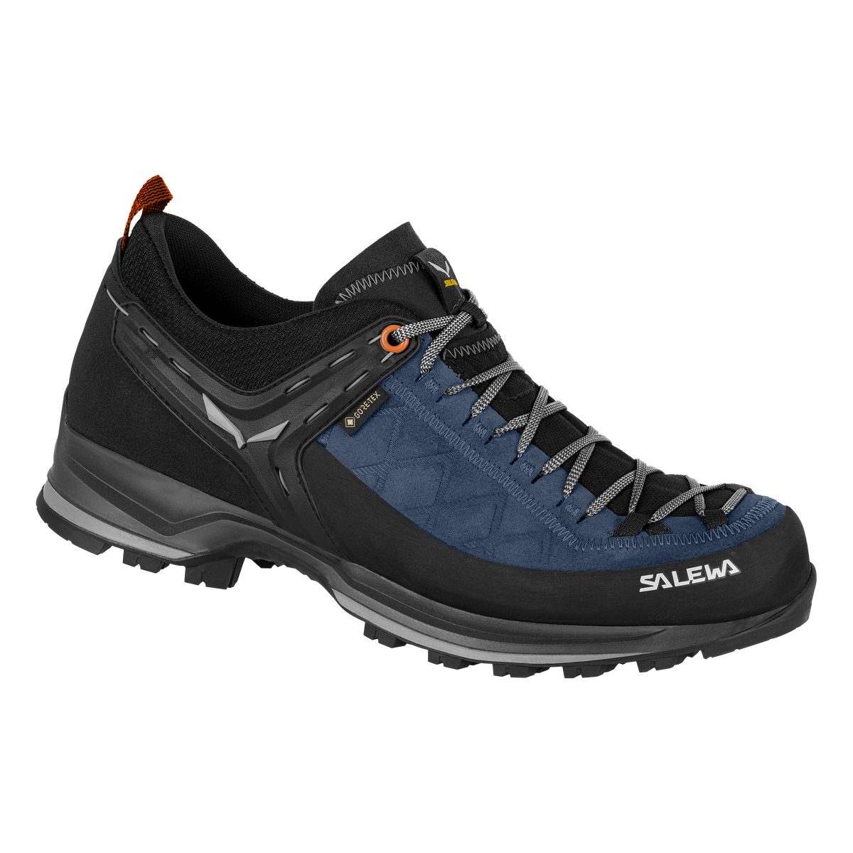 Salewa Zustiegs- und Wanderschuhe Mountain Trainer 2 GTX (Herren) – Salewa Outdoorschuh