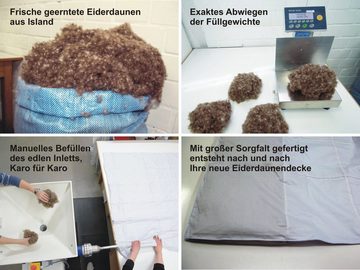 Daunenbettdecke, ORIGINAL EIDERDAUNEN Sommerdecke (Wärmegrad 1), Königin der Nacht, Füllung: 100% Eiderdaunen, für Allergiker geeignet