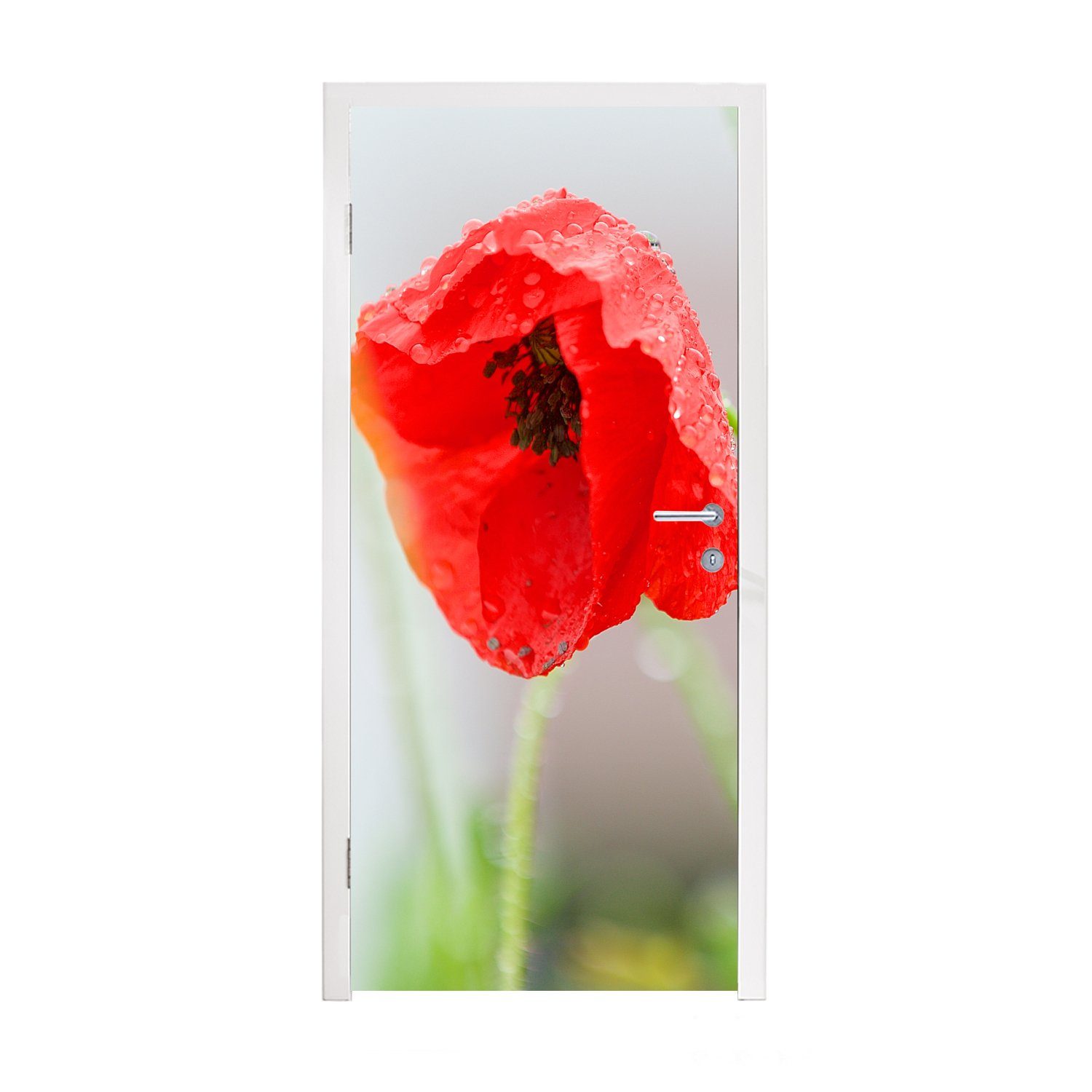MuchoWow Türtapete Tau auf einer roten Mohnblume, Matt, bedruckt, (1 St), Fototapete für Tür, Türaufkleber, 75x205 cm
