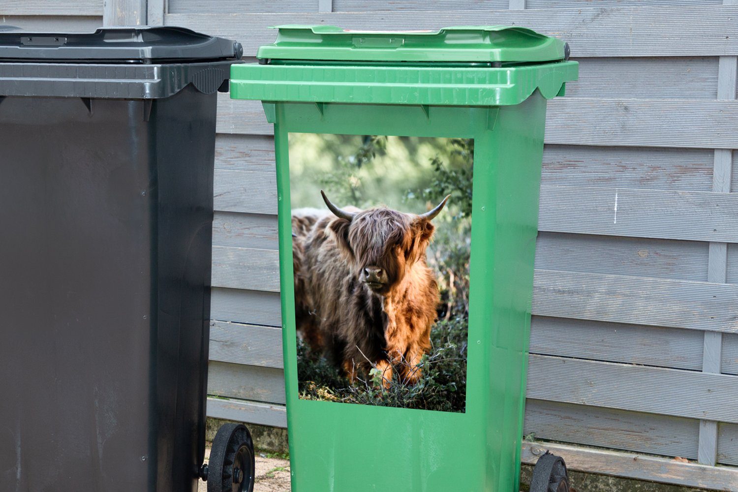 Mülltonne, (1 Mülleimer-aufkleber, Schottische Wald Wandsticker Sticker, - Container, - Highlander St), MuchoWow Tiere Abfalbehälter