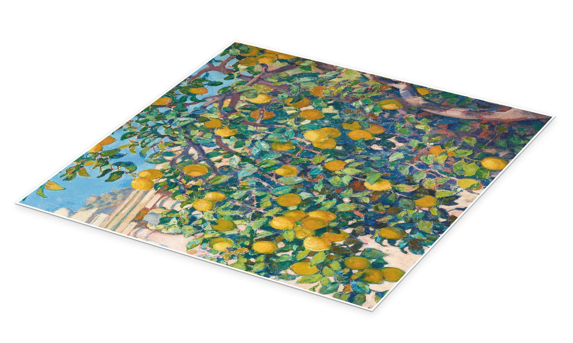Posterlounge Wandbild Zitronenbäume in La Mortola, 1921, Theo van Rysselberghe, erhältlich als Poster, Leinwandbild, Wandsticker oder Acrylglasbild