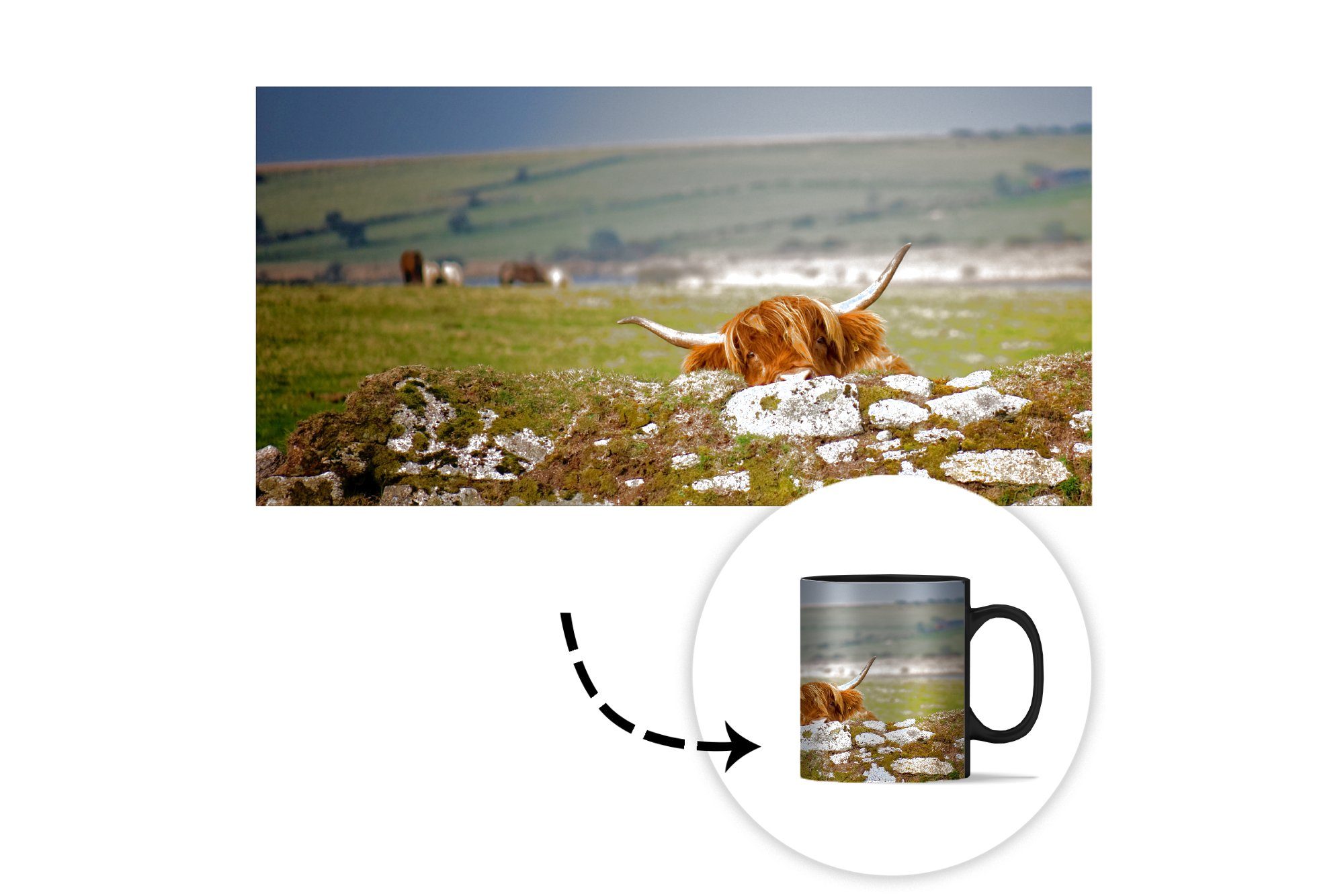 MuchoWow Tasse Schottische Highlander Steine - Farbwechsel, Keramik, Gras, Zaubertasse, Geschenk - Kaffeetassen, Teetasse