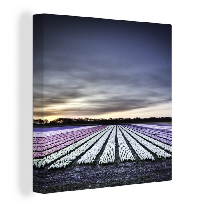 OneMillionCanvasses® Leinwandbild Tulpenfelder auf dem Keukenhof in Holland (1 St) Leinwand Bilder für Wohnzimmer Schlafzimmer