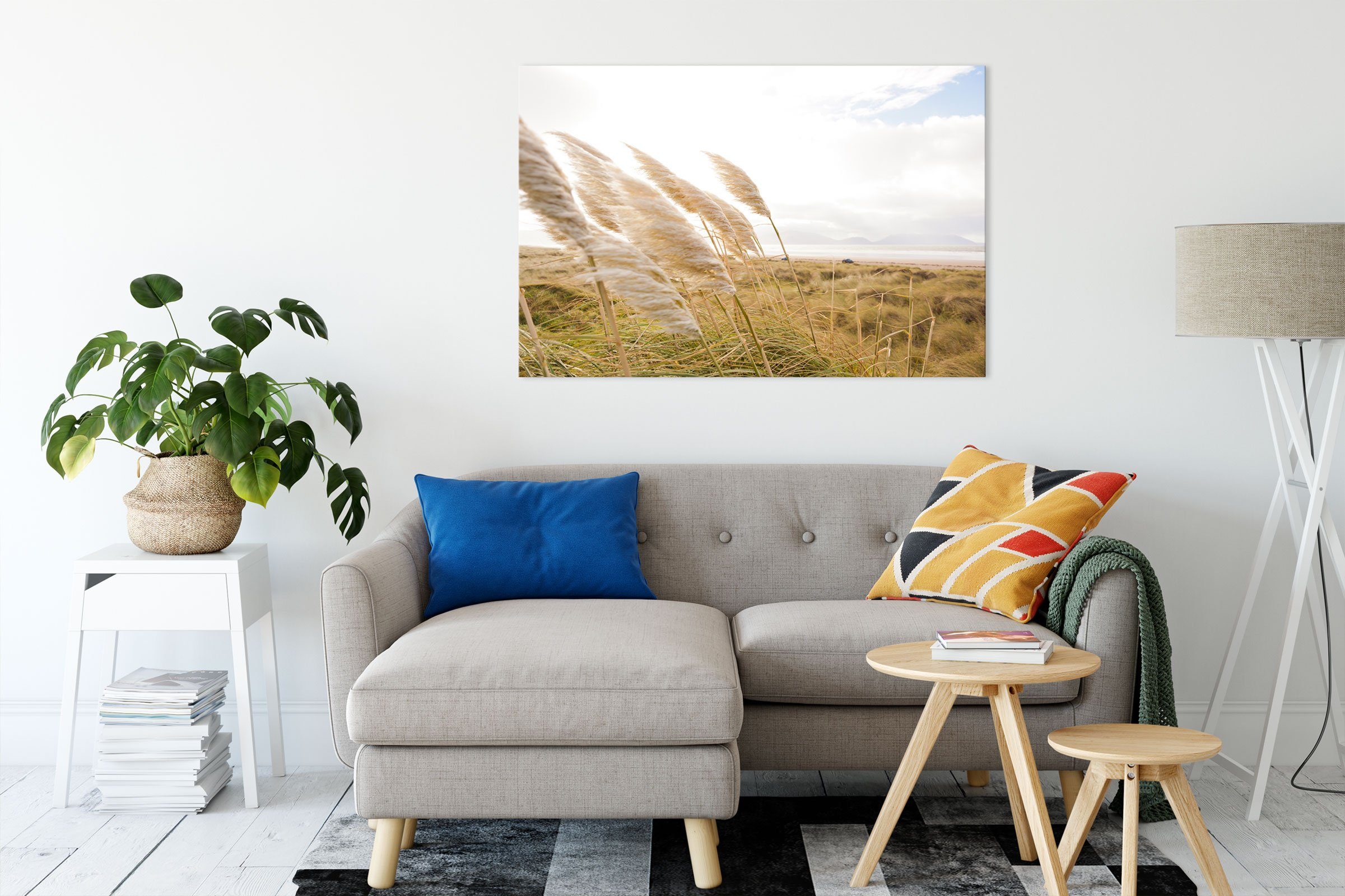 Pixxprint Leinwandbild Schönes Schilf in den günstig online kaufen