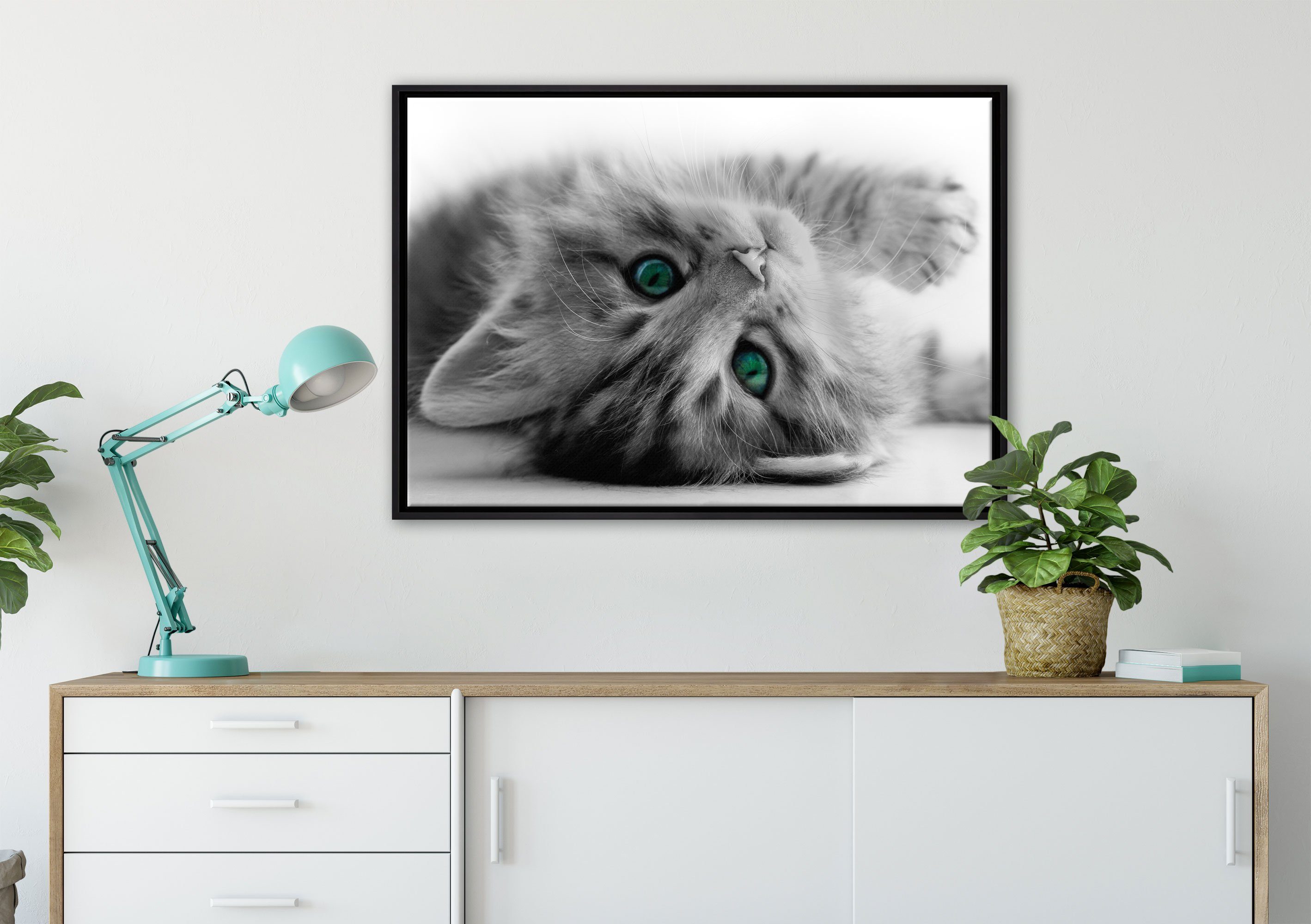 Zackenaufhänger einem Leinwandbild Katzenbaby, Wanddekoration (1 fertig gefasst, Leinwandbild Süßes bespannt, St), Pixxprint inkl. Schattenfugen-Bilderrahmen in