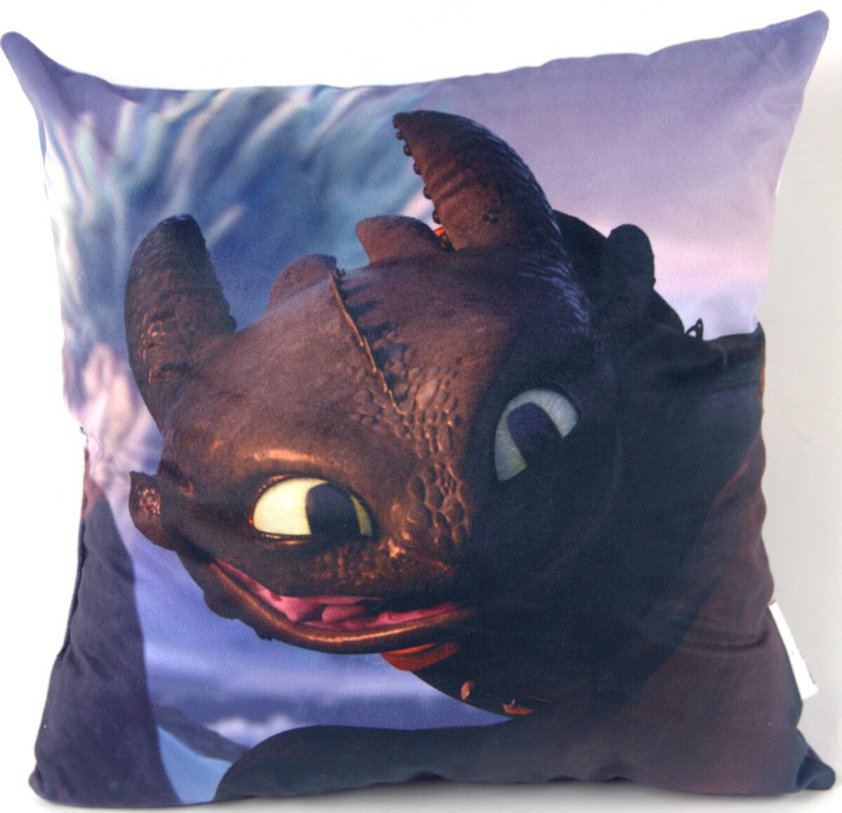 DreamWorks Dekokissen Dragons Drachenzähmen leicht gemacht Kissen Dekokissen 40 x 40 cm