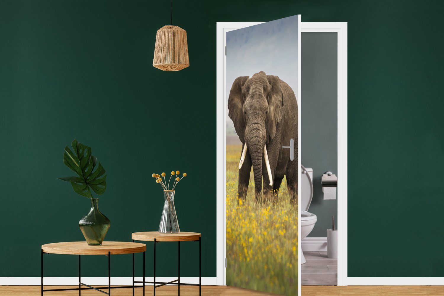 MuchoWow Türaufkleber, Matt, Tür, Gras - (1 75x205 bedruckt, für - cm - Elefant Natur, St), Blumen - Fototapete Tiere Türtapete