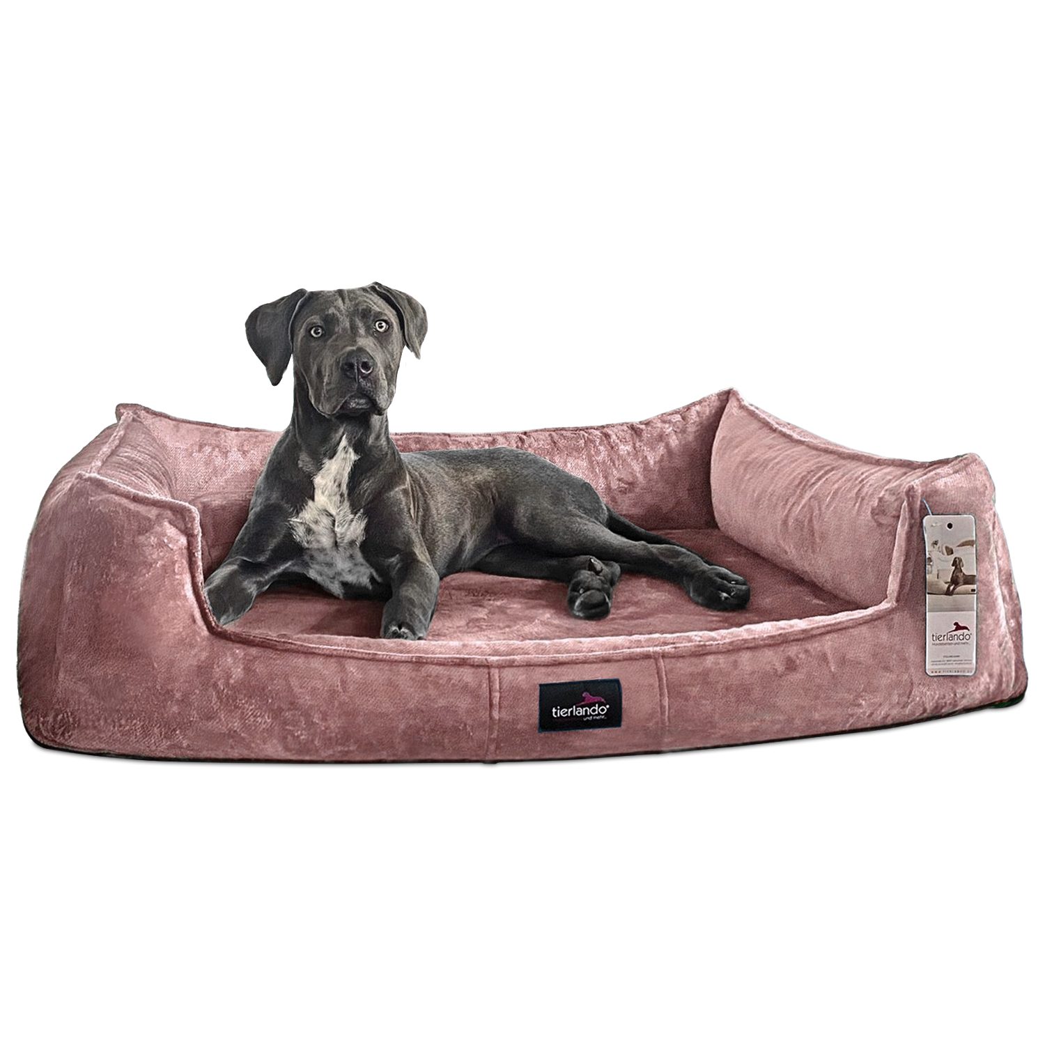 tierlando® Tierbett Orthopädisches Hundebett FRANKLIN Kuscheliger günstig online kaufen