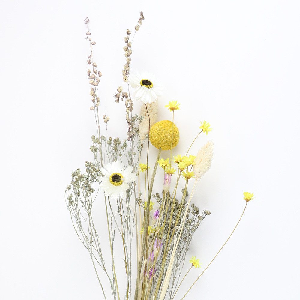 Trockenblume Flowerbar Sommerwiese, Trockenblumen & edle günstig online kaufen