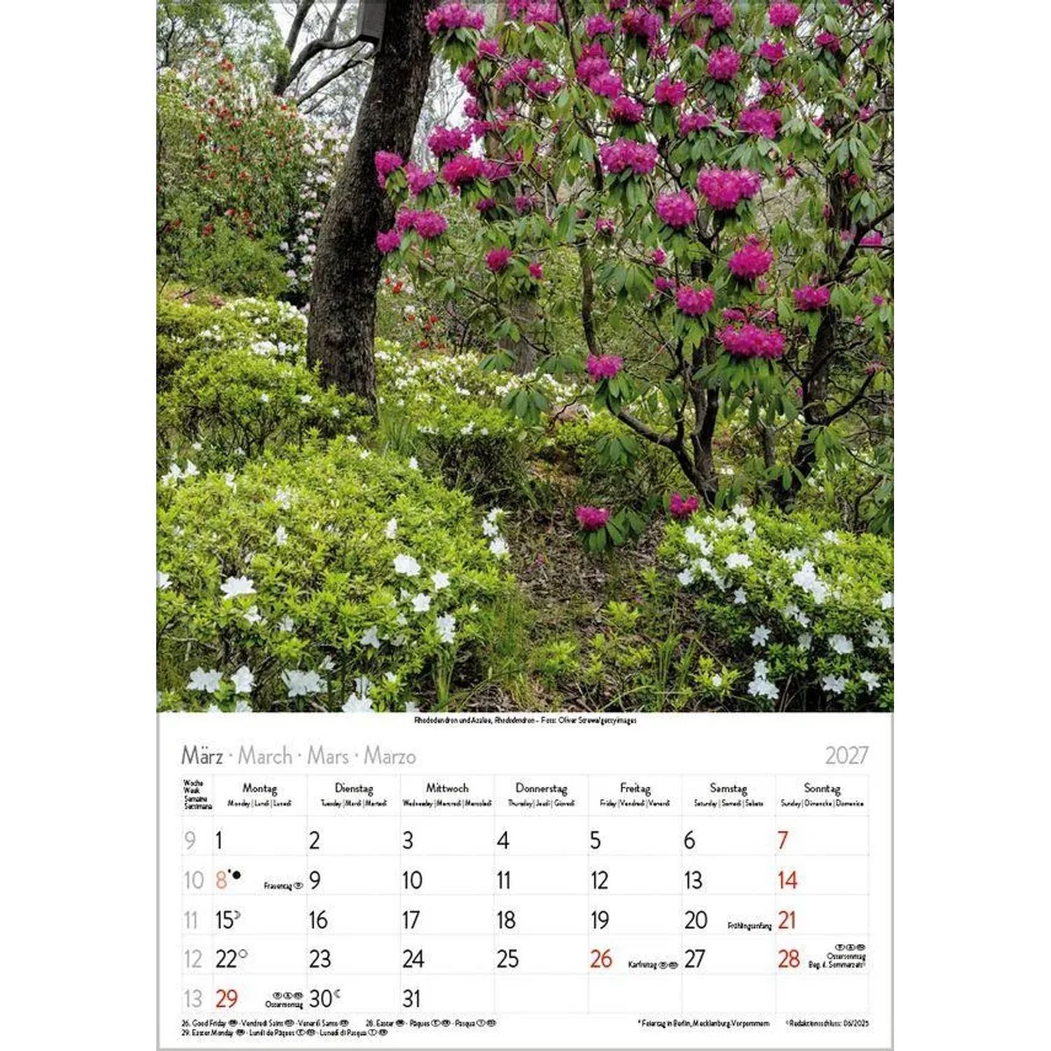 Korsch Verlag Wandkalender Blütenzauber 2027 – Bild 4 von 5