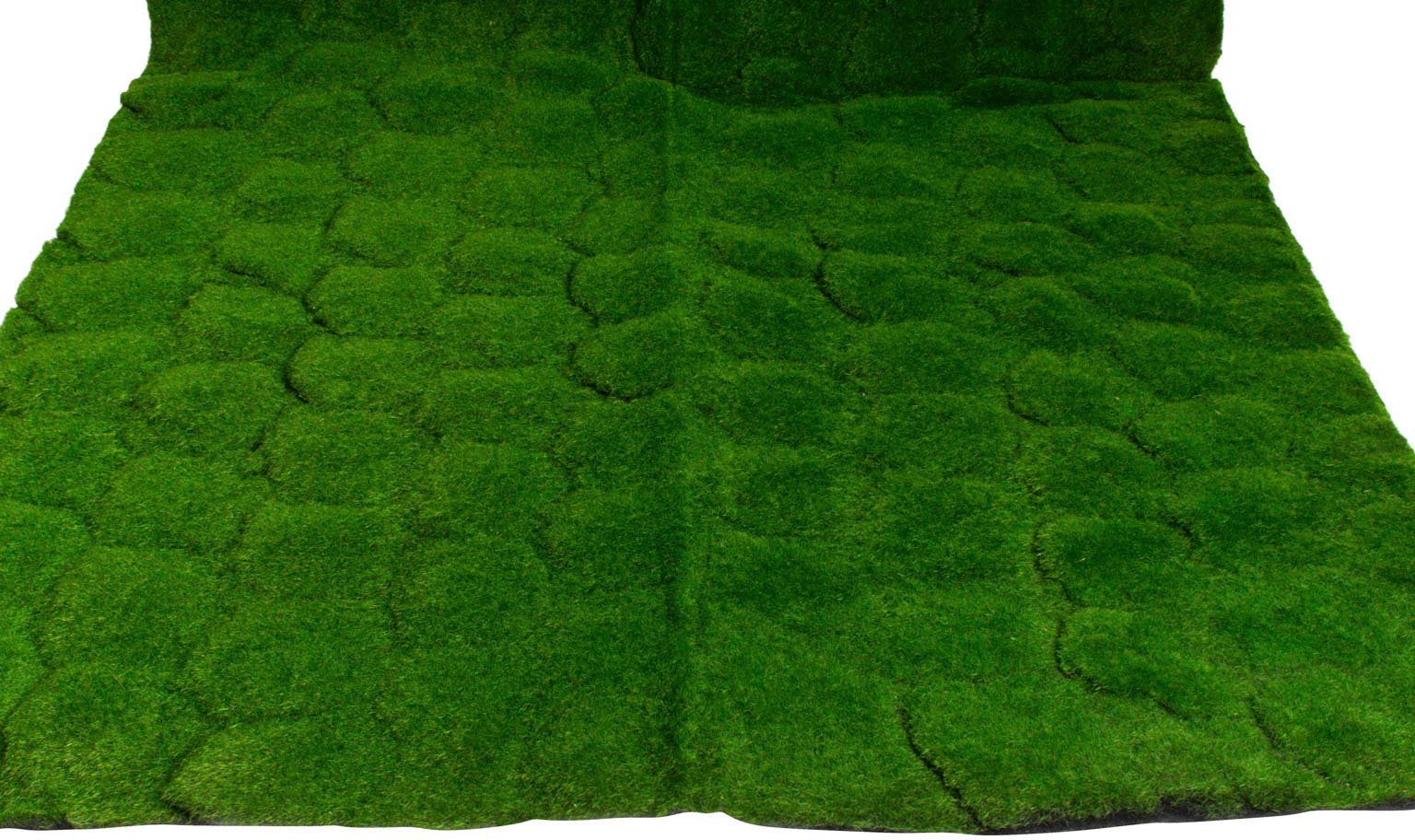 Künstliche Zimmerpflanze Moosmatte Moos, Botanic-Haus, Höhe 2 cm