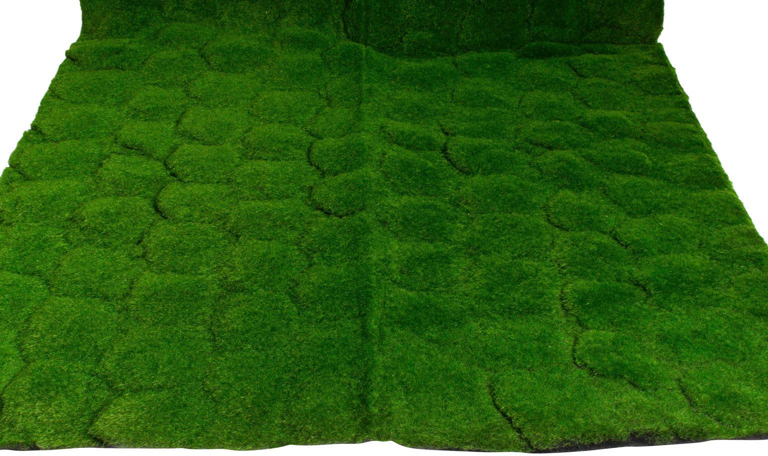 Künstliche Zimmerpflanze Moosmatte Moos, Botanic-Haus, Höhe günstig online kaufen