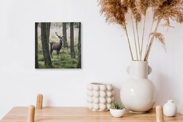 OneMillionCanvasses® Leinwandbild Hirsche - Bäume - Gras, (1 St), Leinwand Bilder für Wohnzimmer Schlafzimmer