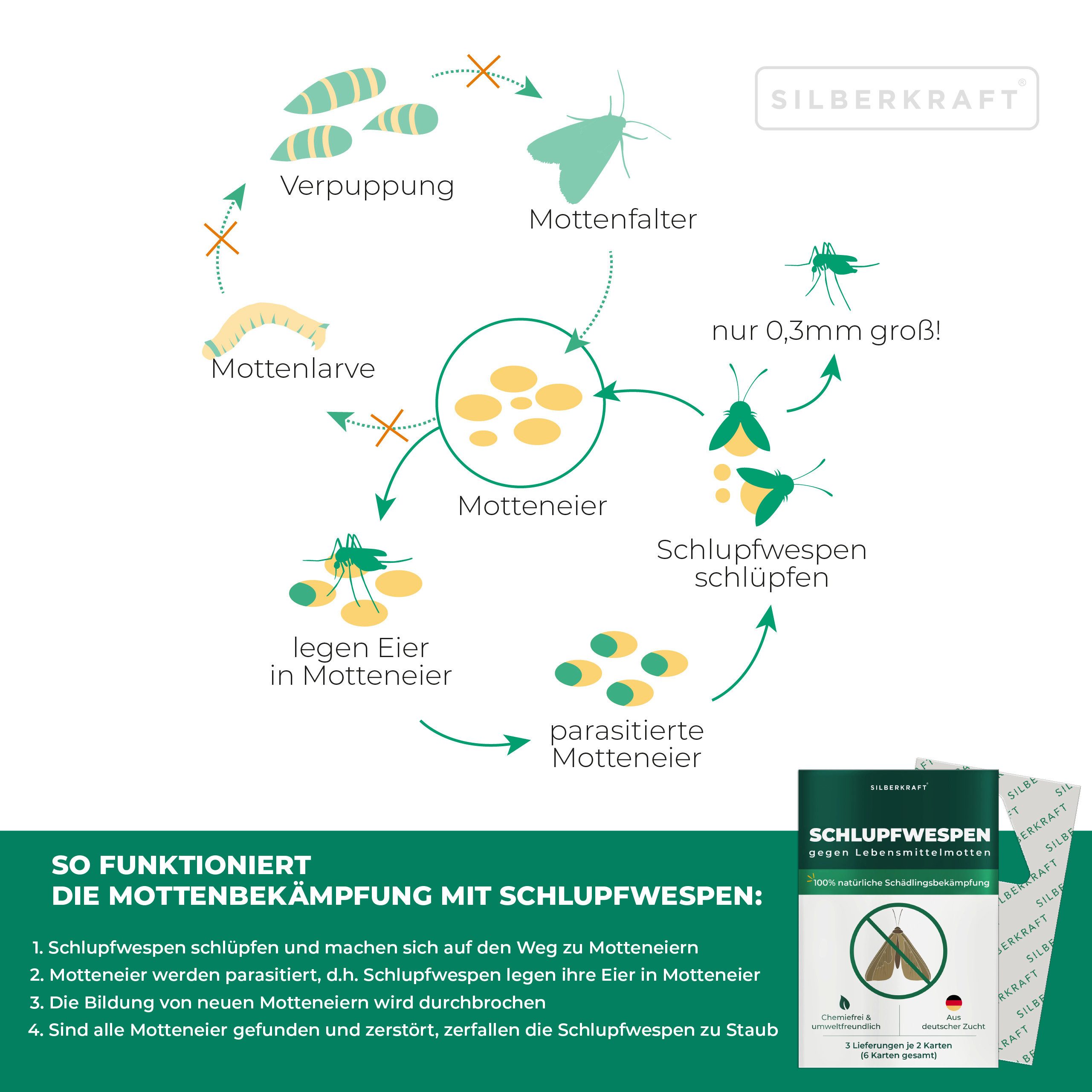 Silberkraft Insektenvernichter Silberkraft Schlupfwespen gegen Lebensmittelmotten, Mottenbekämpfung, 3 Lieferungen je 2 Karten (6 Karten gesamt) über 9 Wochen – Bild 5 von 5