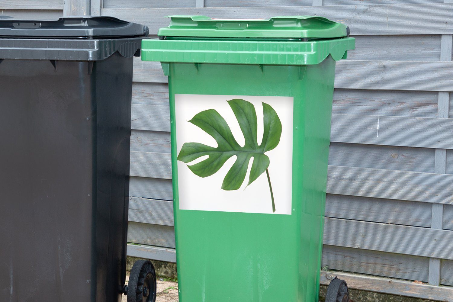 (1 weißem Container, Abfalbehälter Mülltonne, Mülleimer-aufkleber, Hintergrund Wandsticker Sticker, MuchoWow auf Blatt St), Botanisches