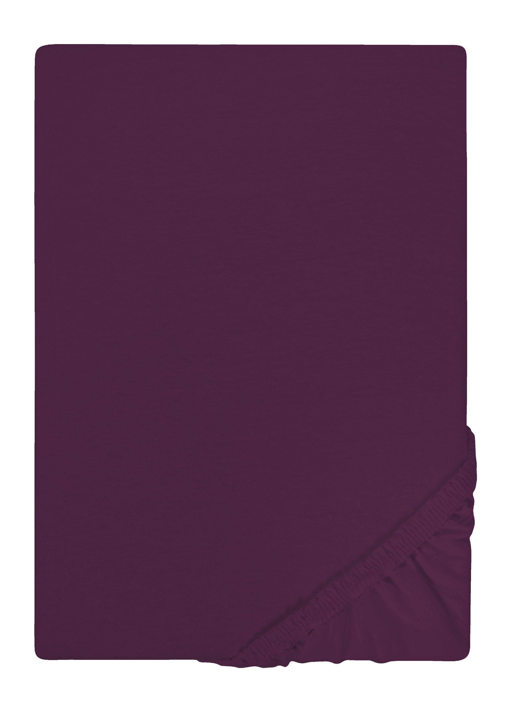 Castell - Markenbettwäsche Spannbettlaken Spannbetttuch Jersey-Stretch, günstig online kaufen