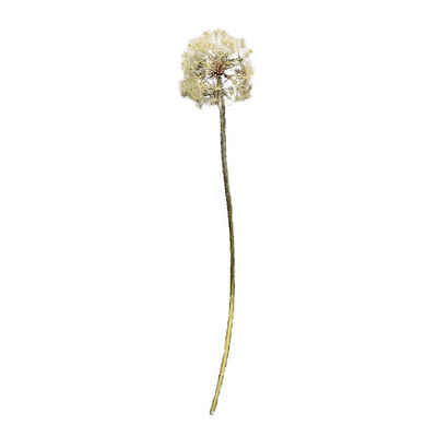 Kunstblume Kunstblume Pusteblume Flora Pusteblume, HTI-Living, Höhe 91 cm, Dekoblume
