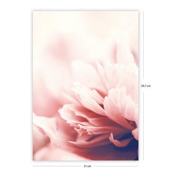 Close Up Poster Blumen Kunstdruck Din A4 21 x 29,7 cm