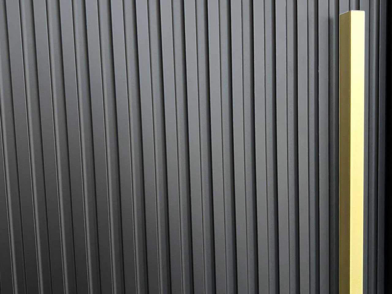 Riflo (mit zwei Mirjan24 180 Frontspiegel) Schwarz Slim Aluminium-Gleitschienen Kleiderschrank Schiebetüren Kleiderstangen, 2-türig, 2 und