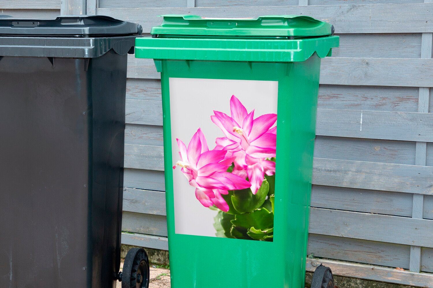 Deckelkaktus Sticker, des der Container, Abfalbehälter (1 MuchoWow Mülleimer-aufkleber, St), Nähe Mülltonne, aus Blüten Wandsticker