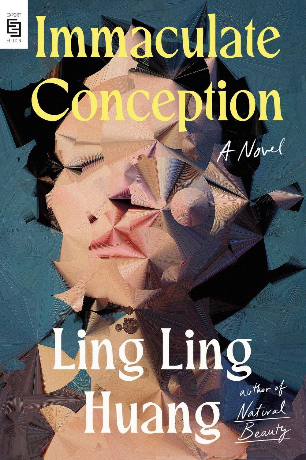 Immaculate Conception / Ling Ling Huang