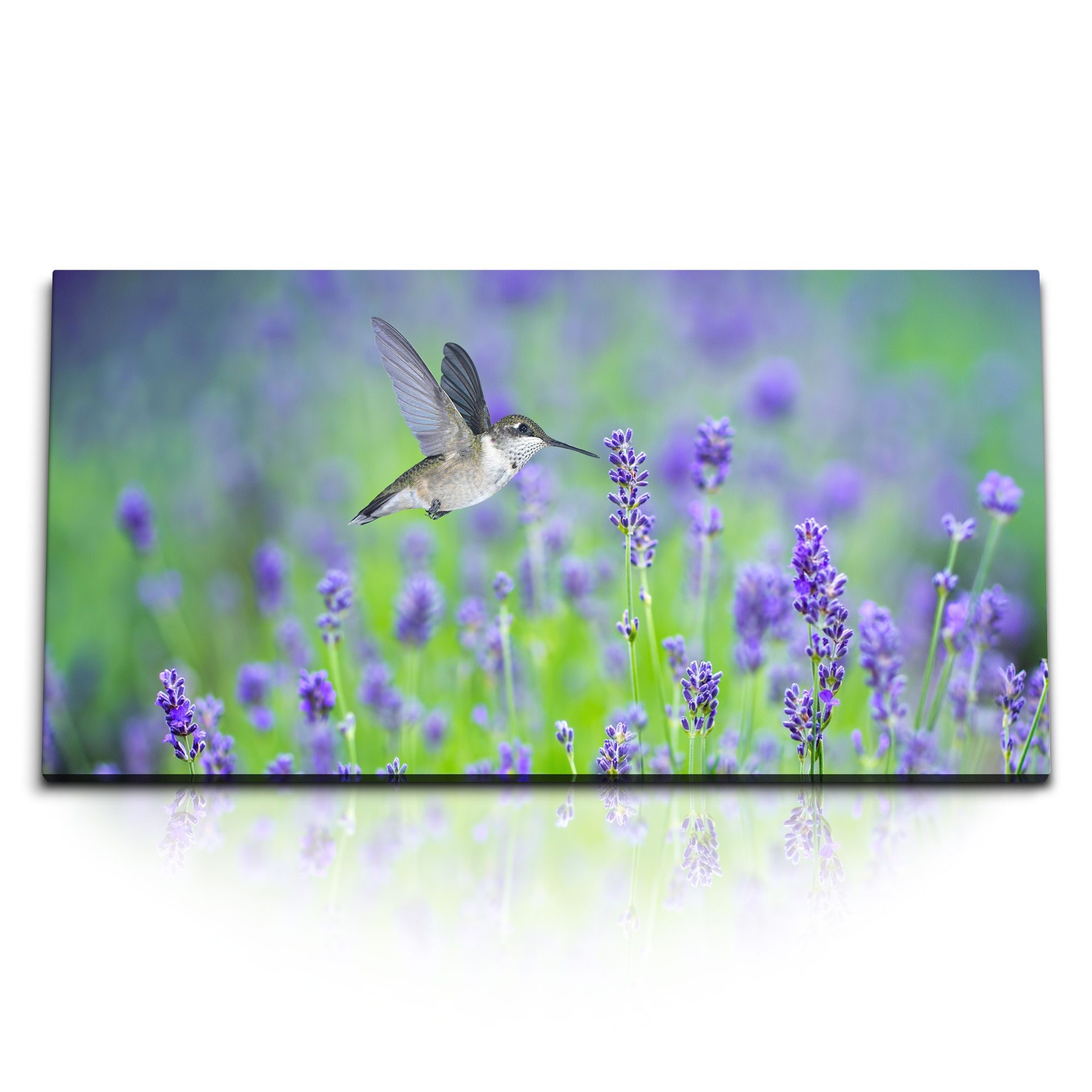 Leinwandbild Kunstdruck Bilder 120x60cm Lavendel Blumen Blumenwiese Kolibri kleiner